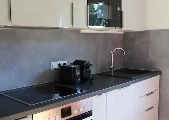 公寓 An Der Altrhein-aue 克桑滕