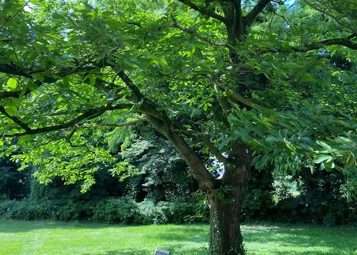 An Der Altrhein-aue 크산텐